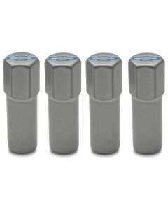 Engine Valve Cover Mini Nuts; Steel; Gray; Bowtie Logo; Studs Included; 4pc