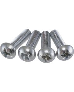 Parking Lamp Lens Screws, 1968-1969