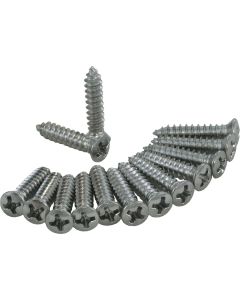 1964-1967 Corvette Window Trim Screws Coupe Rear	