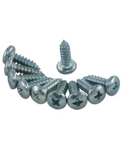 1965-1967 Corvette Door Panel Clip Screws	