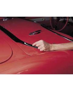 Protector,Hdtp Deck Clr,56-62