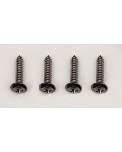 1978-1982 Corvette Rear Speaker Cover Screws	