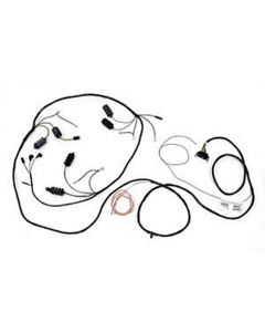 Rear Body/Lights Wiring Harness, 1966