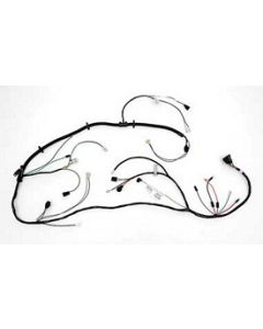 Forward Light Wiring Harness, 1973