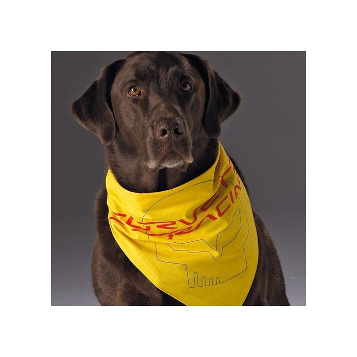 What Does A Yellow Bandana On A Dog Mean